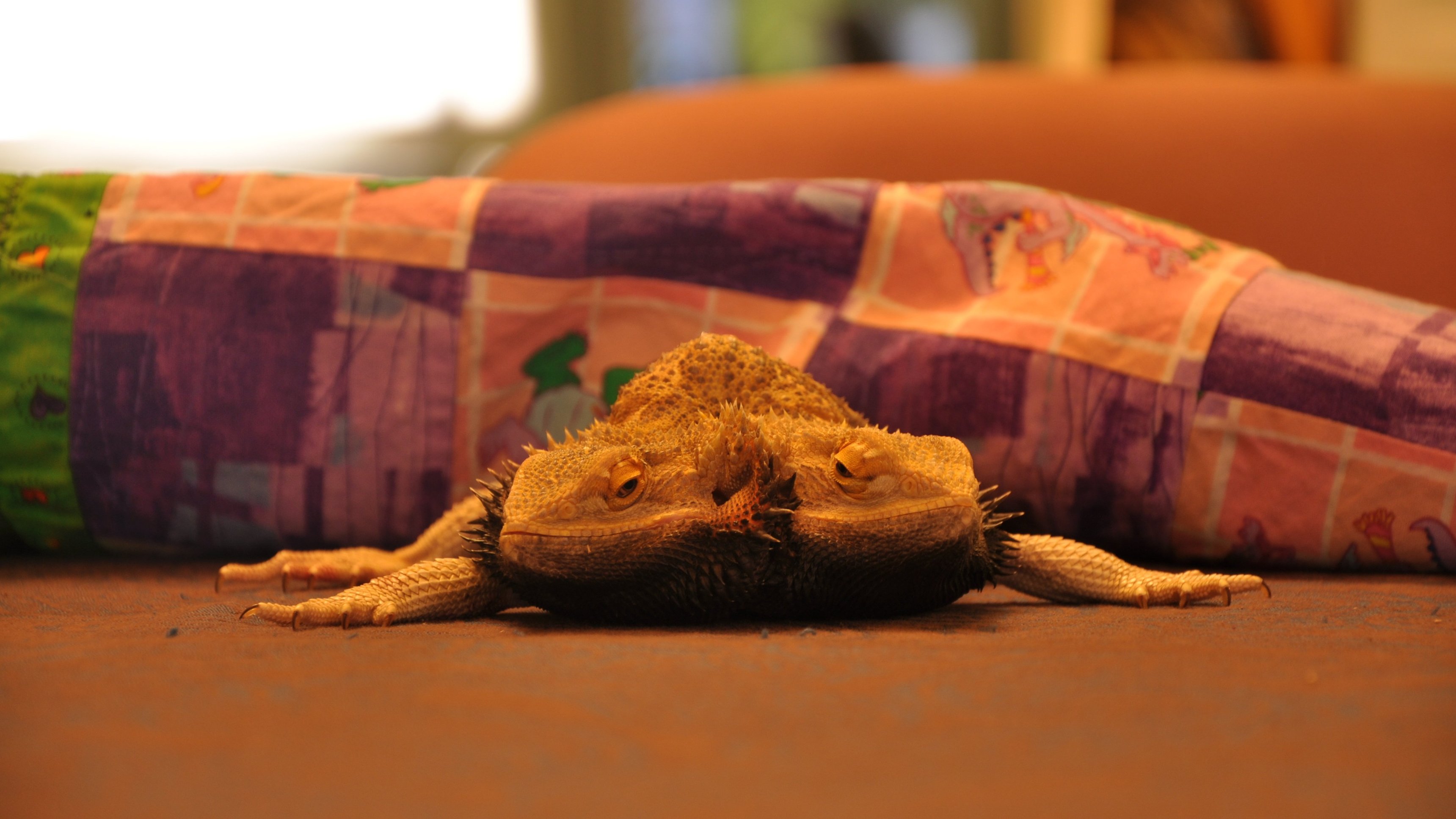 Weird, True & Freaky: Real Monsters