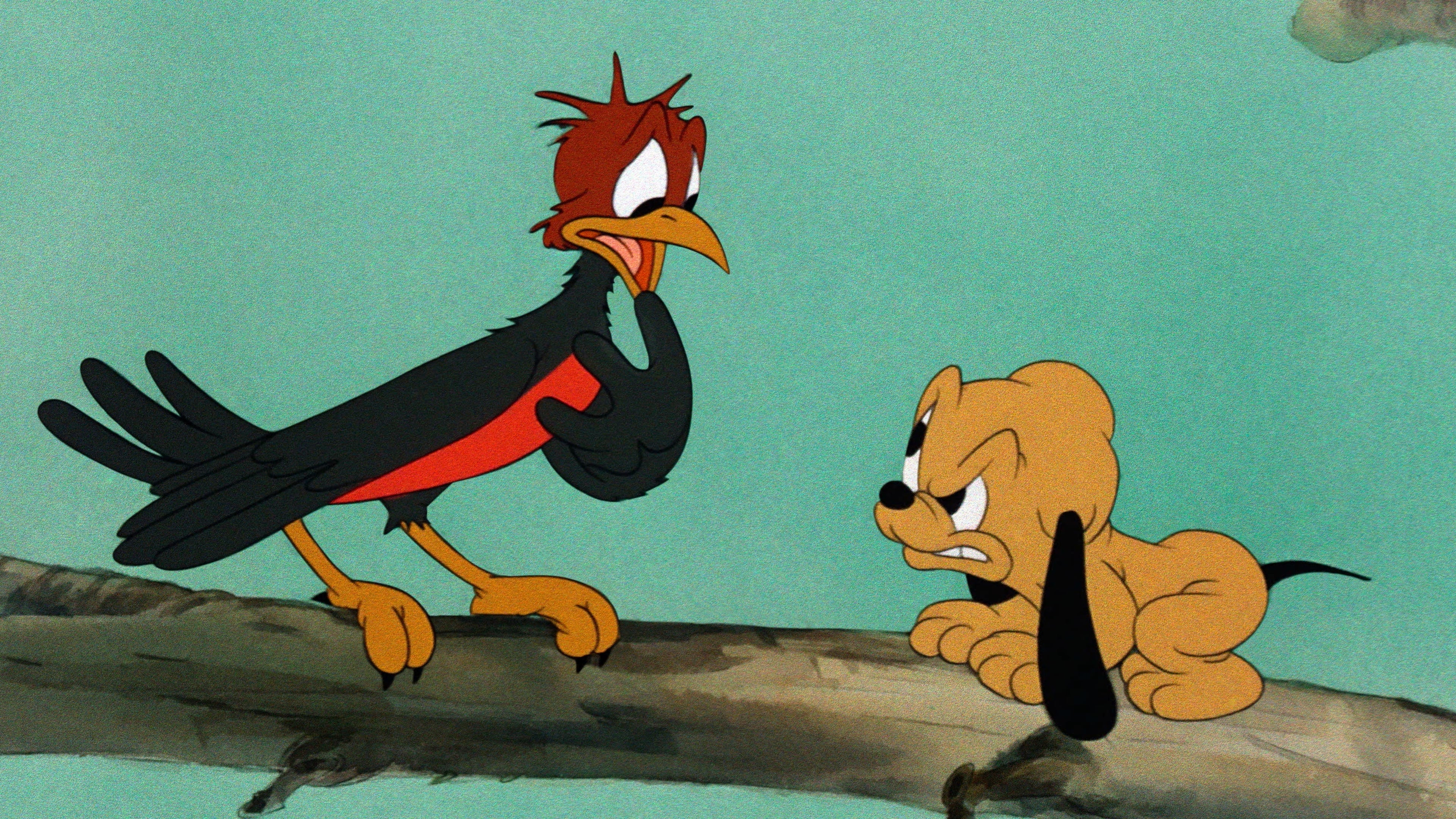 Pluto Junior