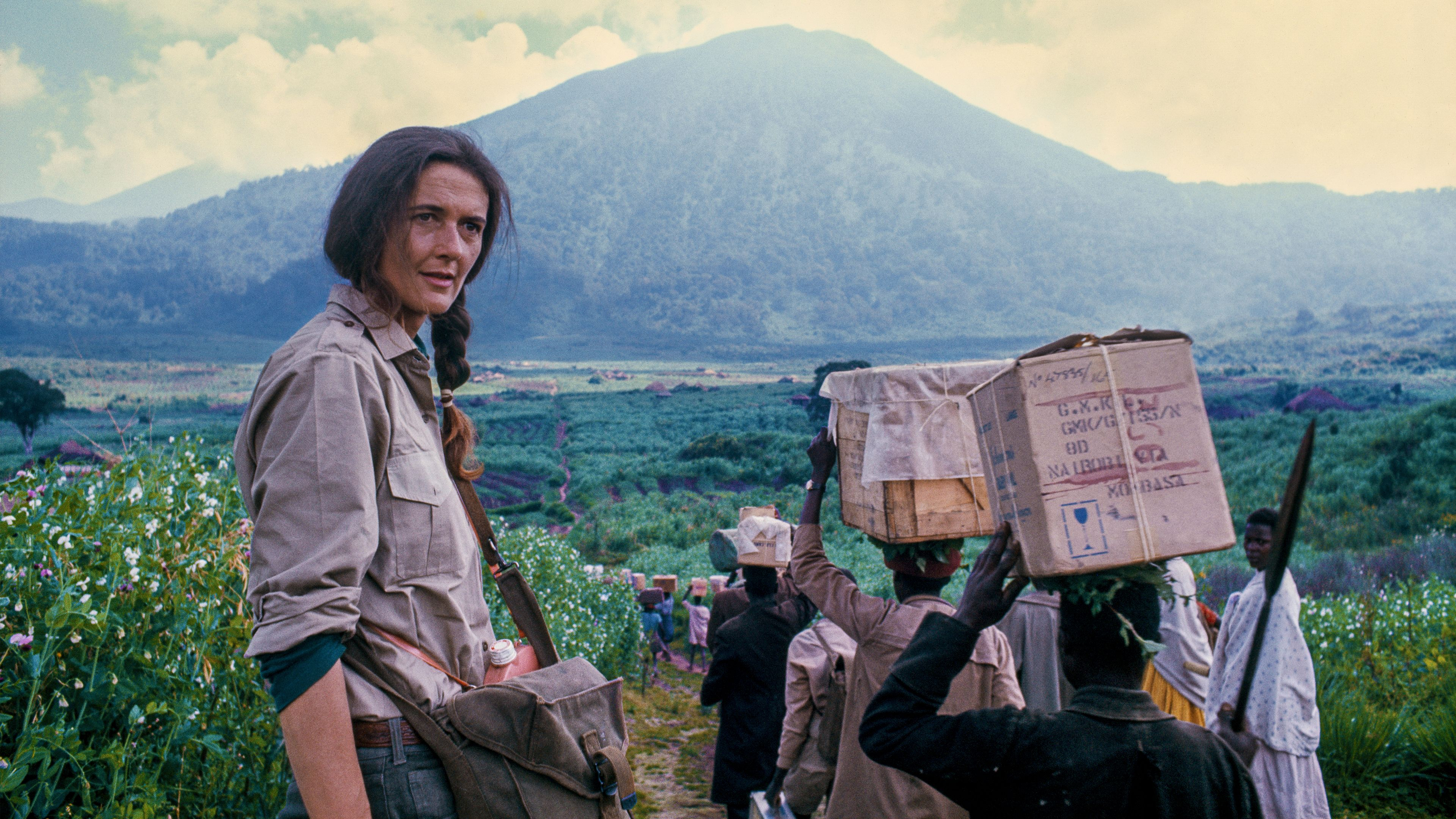 Dian Fossey: Secrets In The Mist
