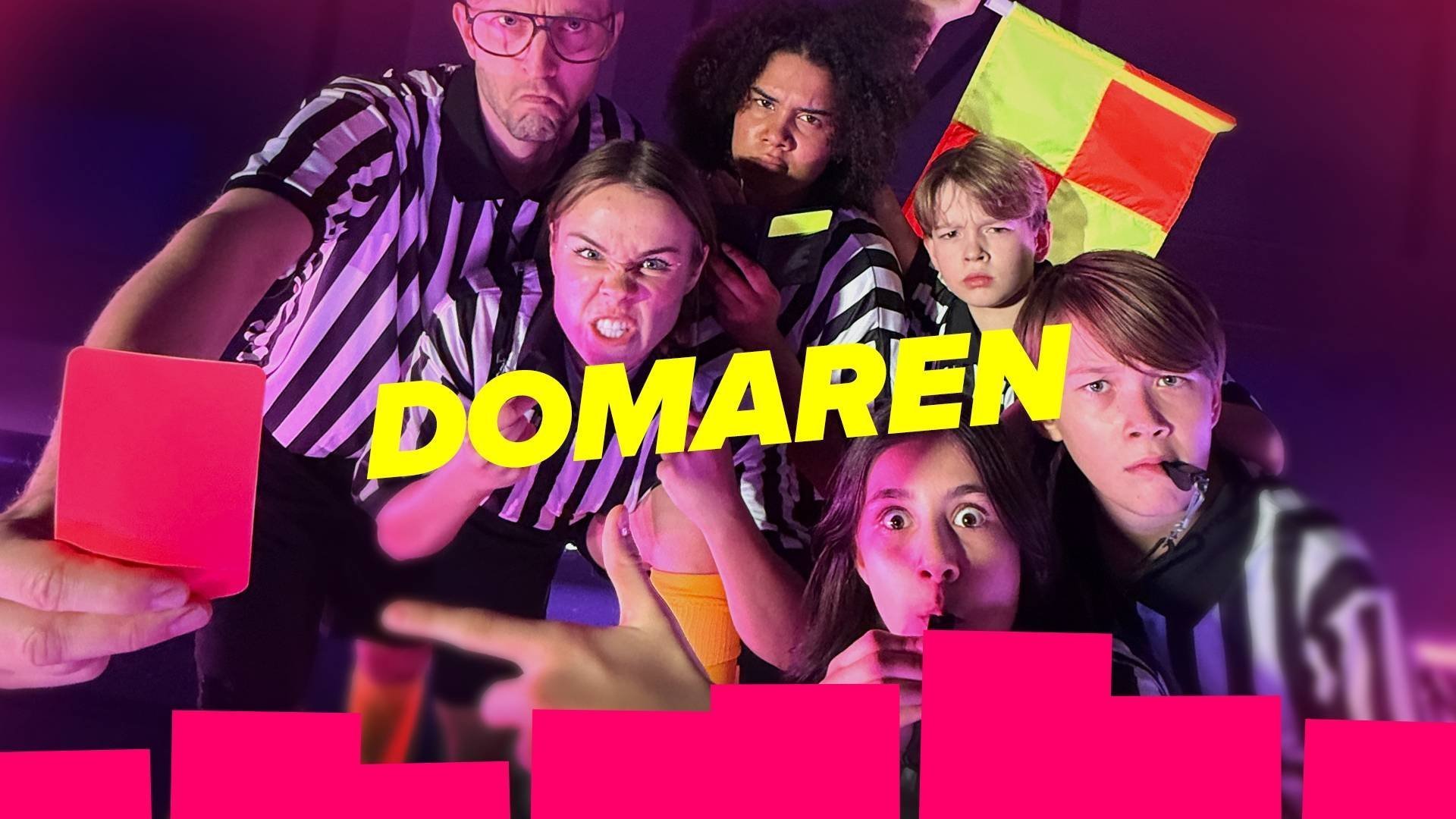 22. Domaren