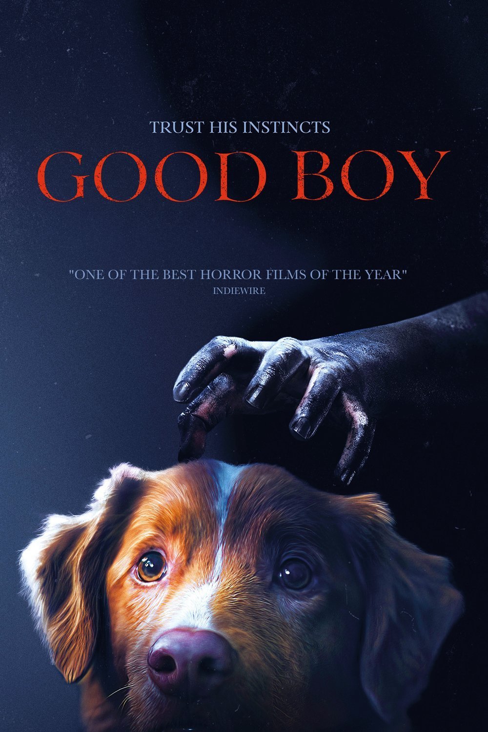 Good Boy