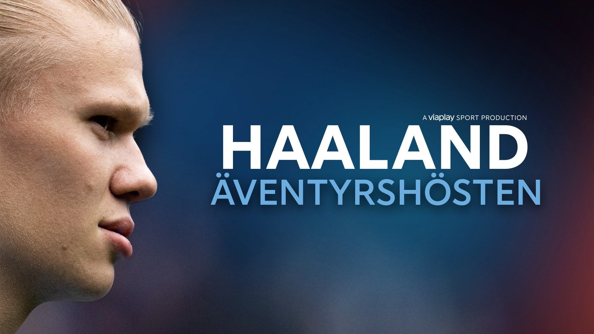 Haaland: Eventyrhøsten