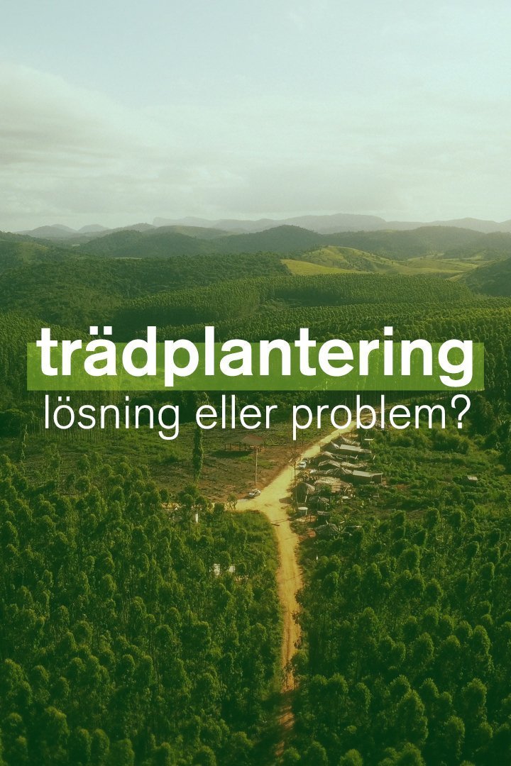 Dokument utifrån: Trädplantering - lösning eller problem?