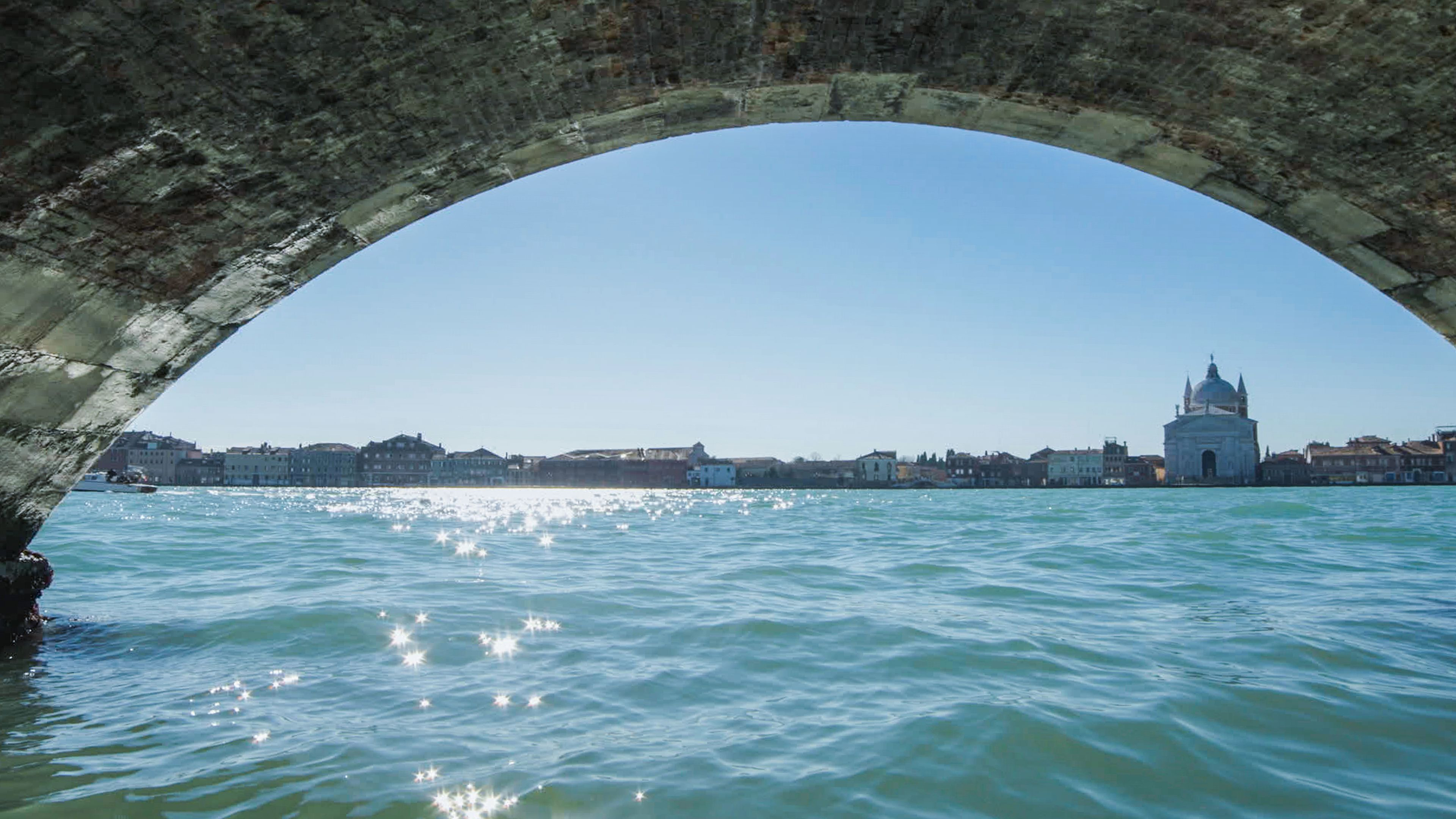 Wild Venice