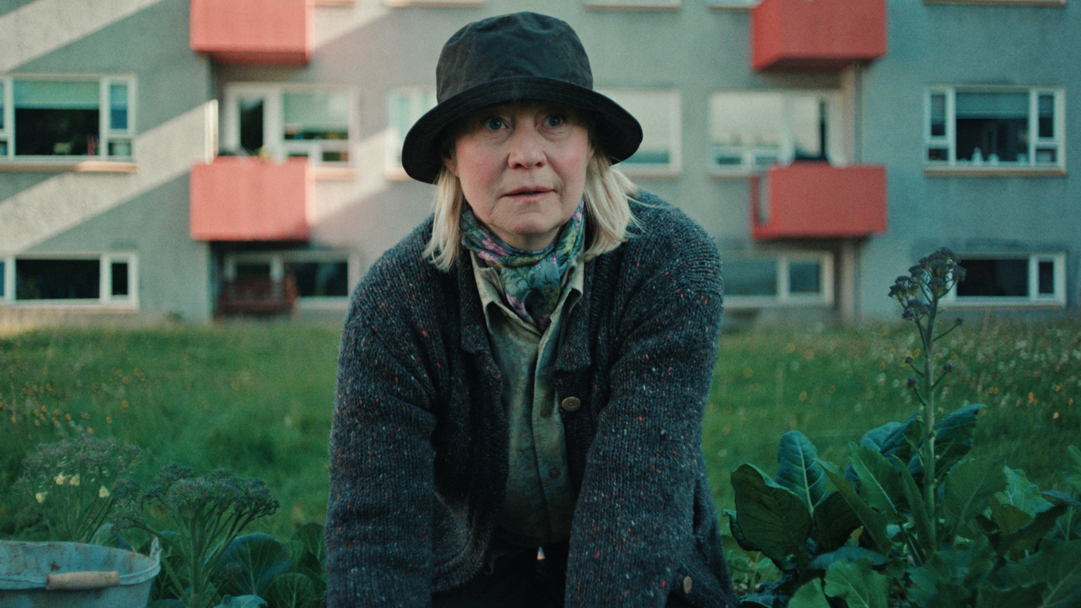 1. Dödade hon katten?