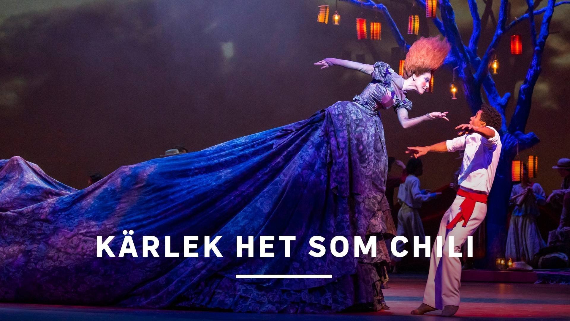 Kärlek het som chili