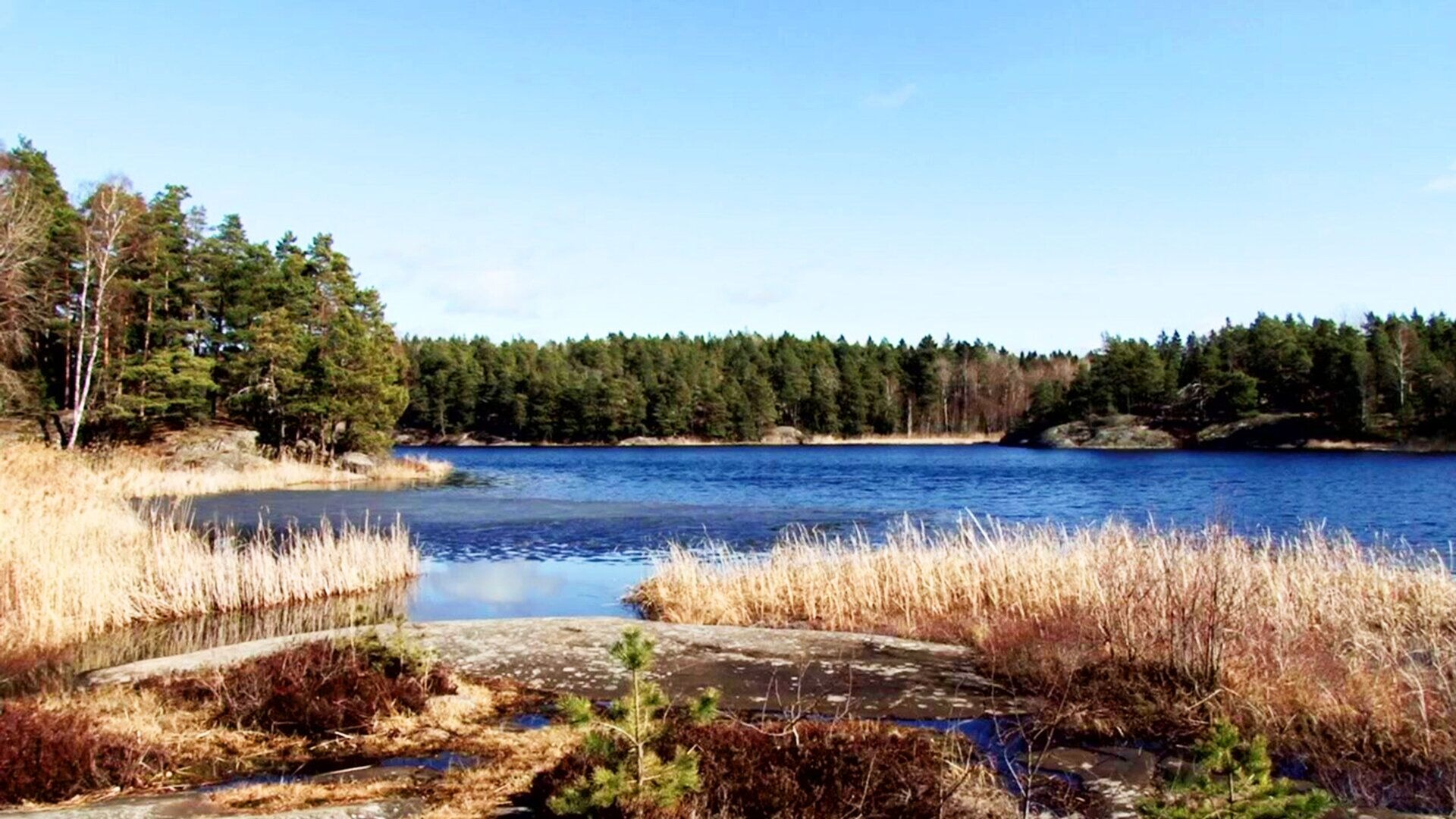 35. Vår