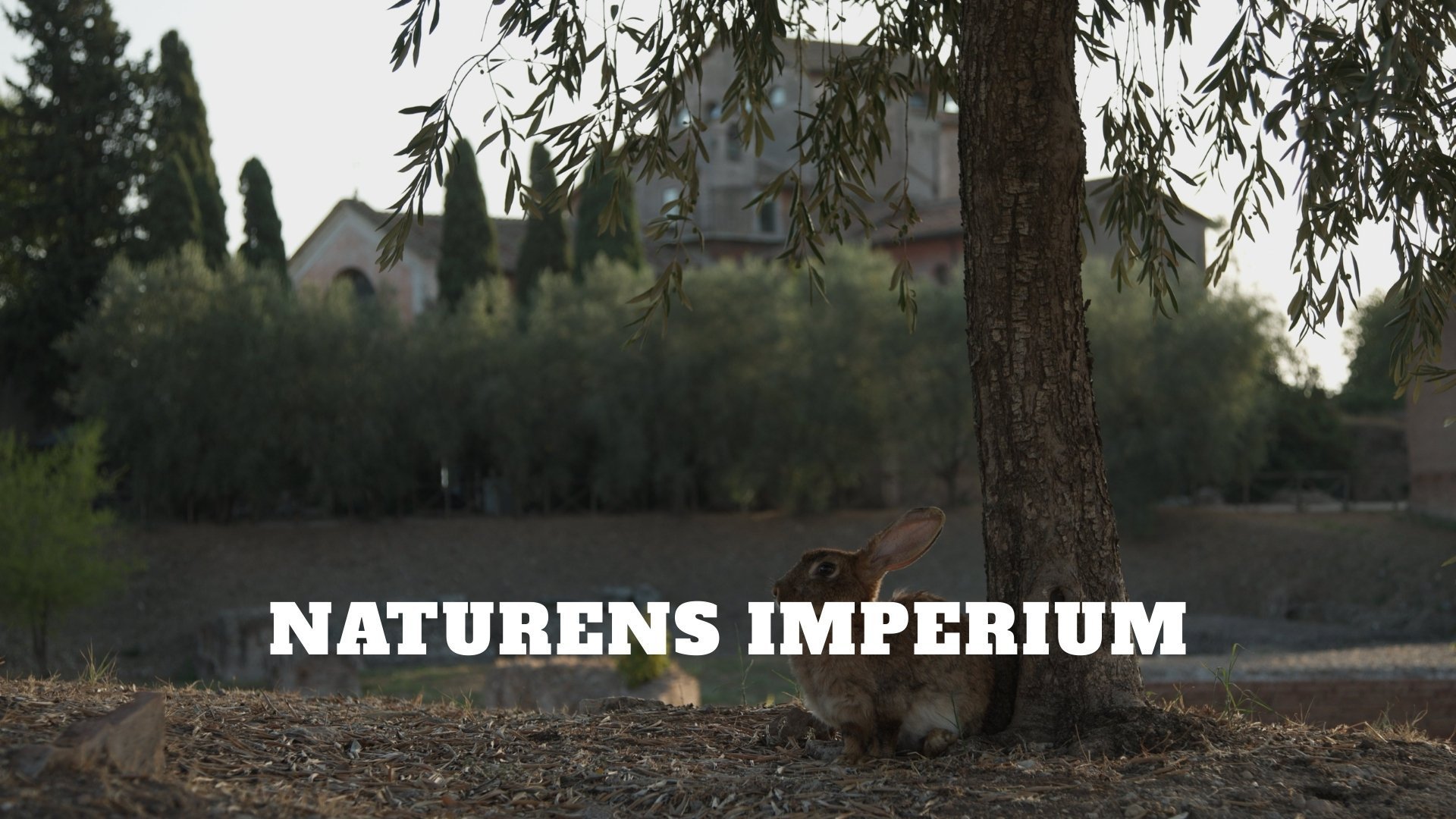 Naturens imperium