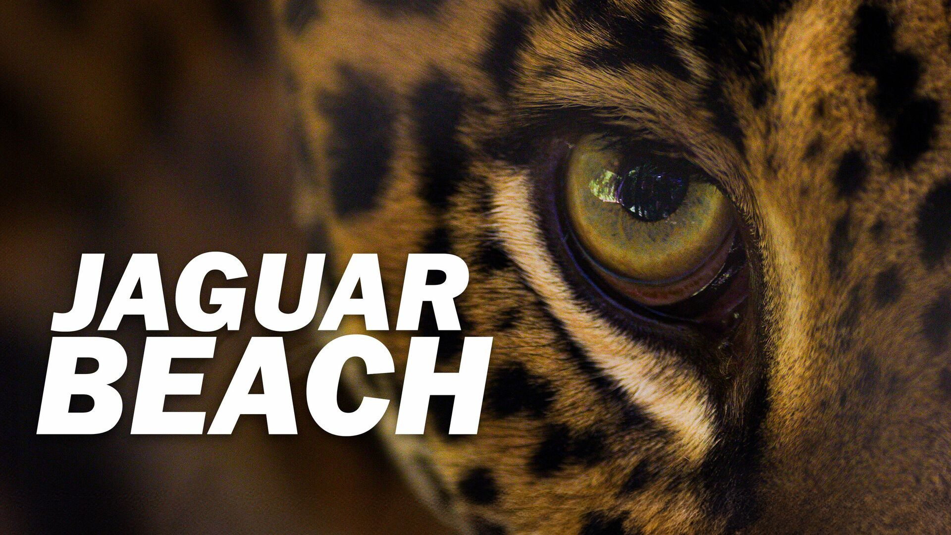 Jaguar Beach
