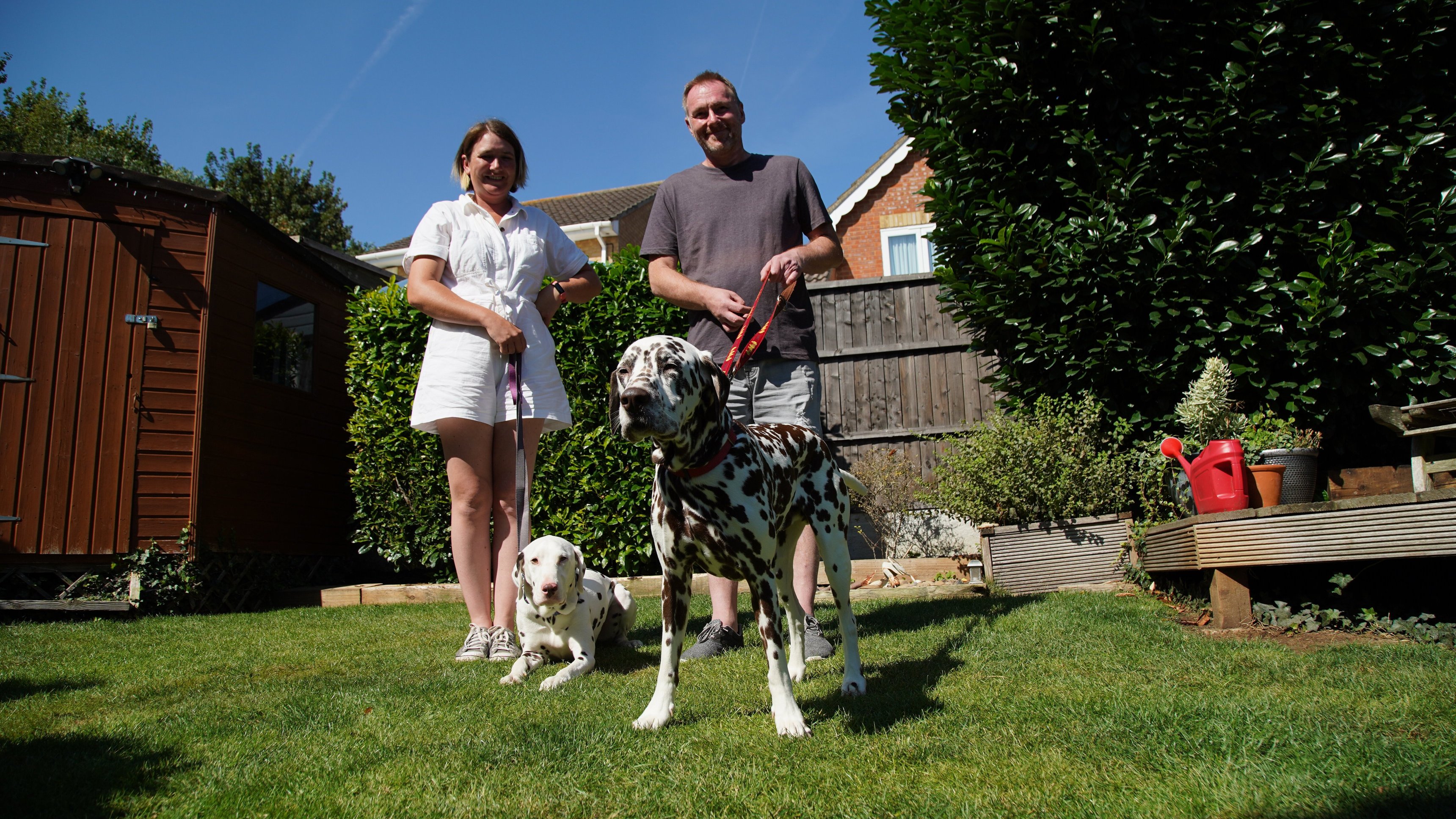 19. Luka: The Deaf Dalmatian