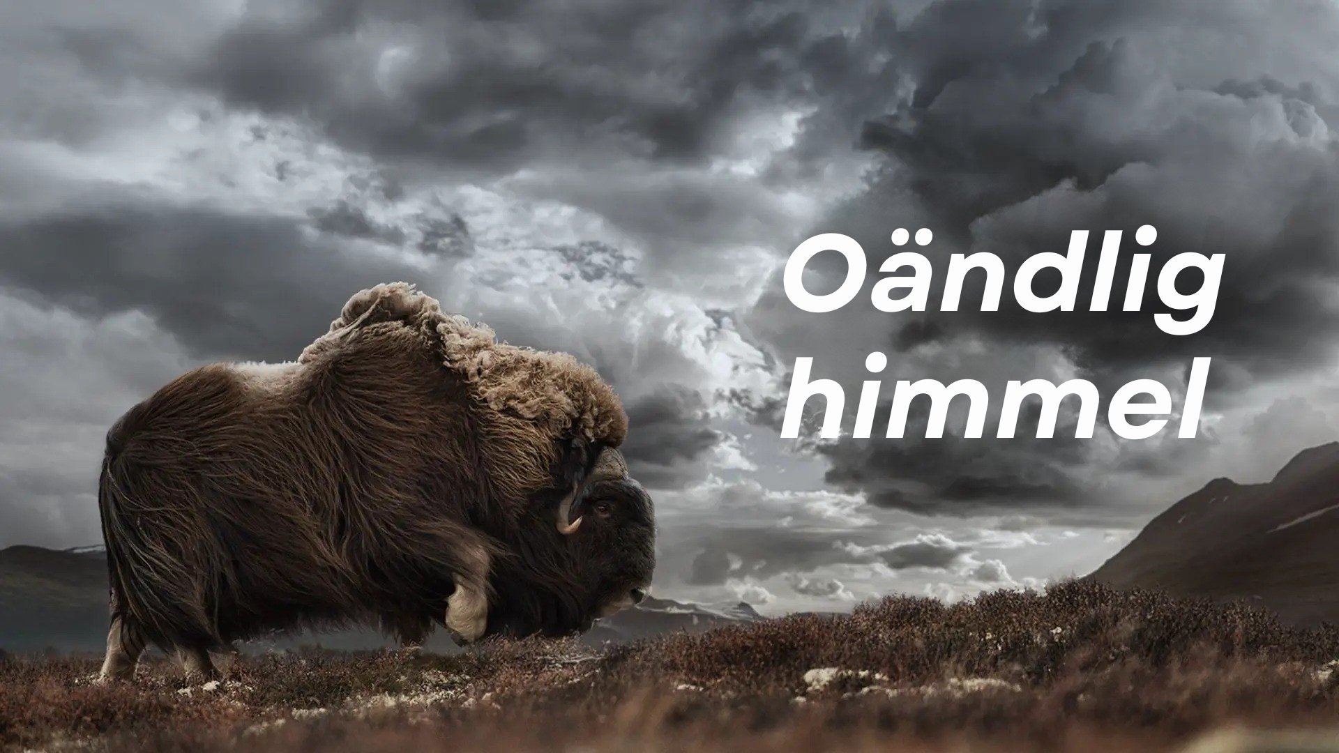 Oändlig himmel
