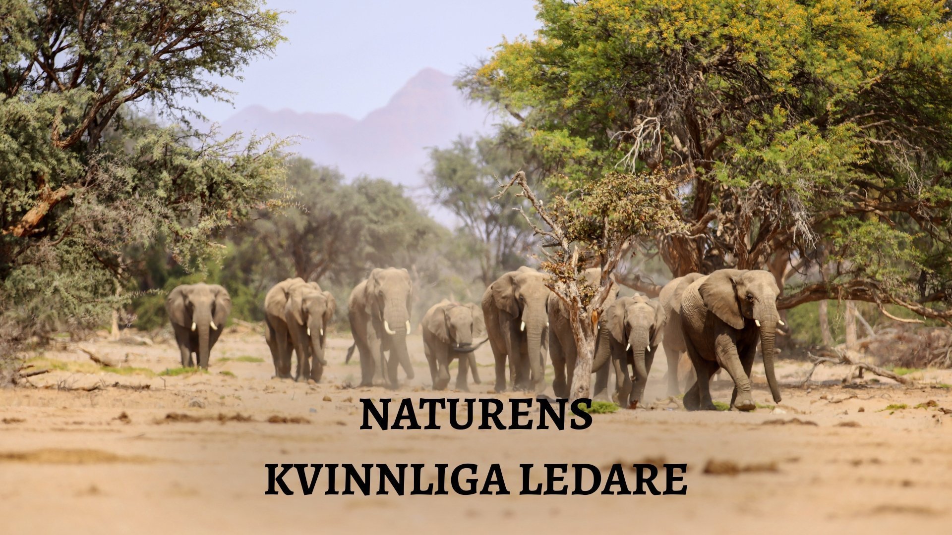 Naturens kvinnliga ledare