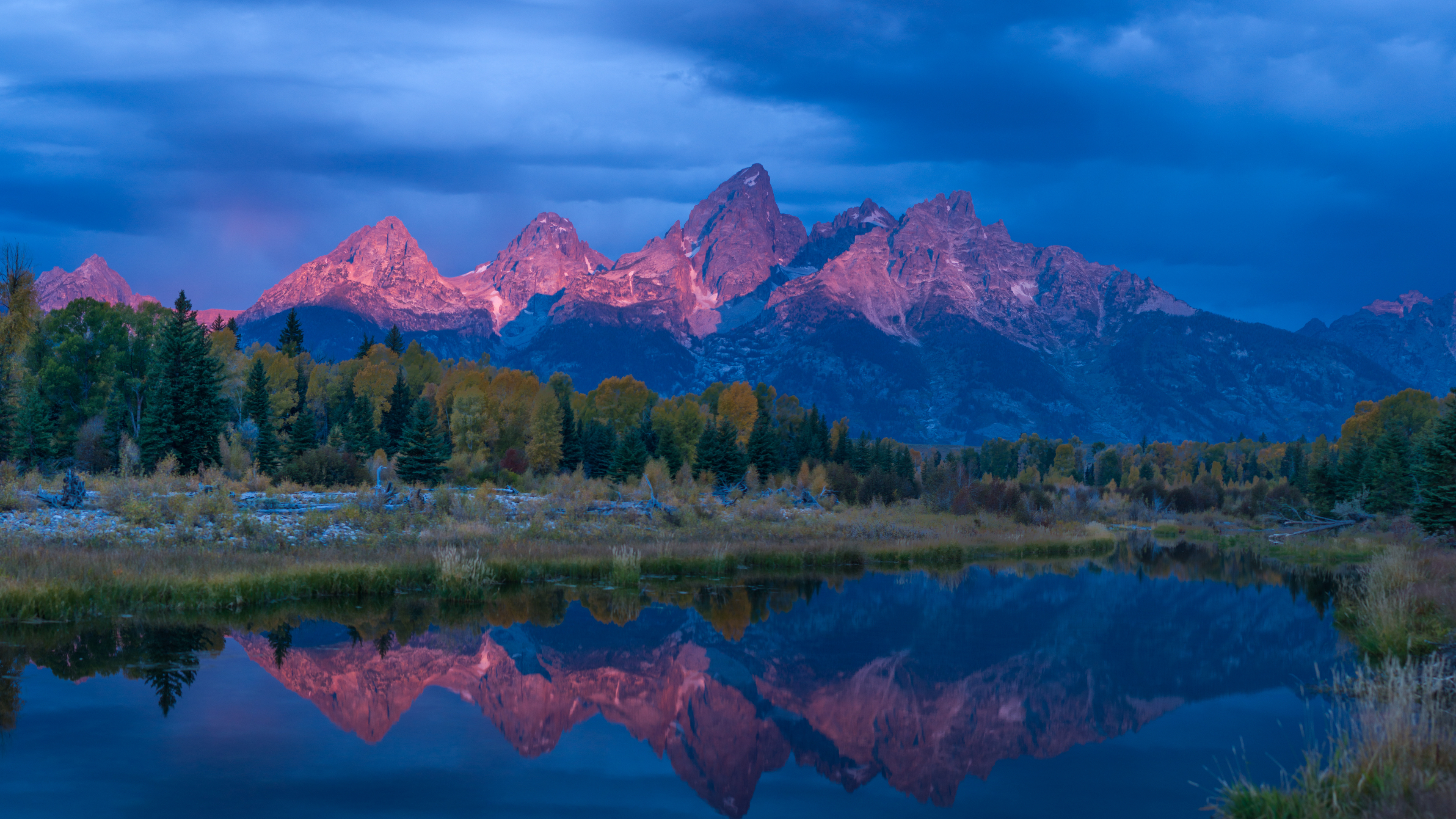 1. Wild Yellowstone