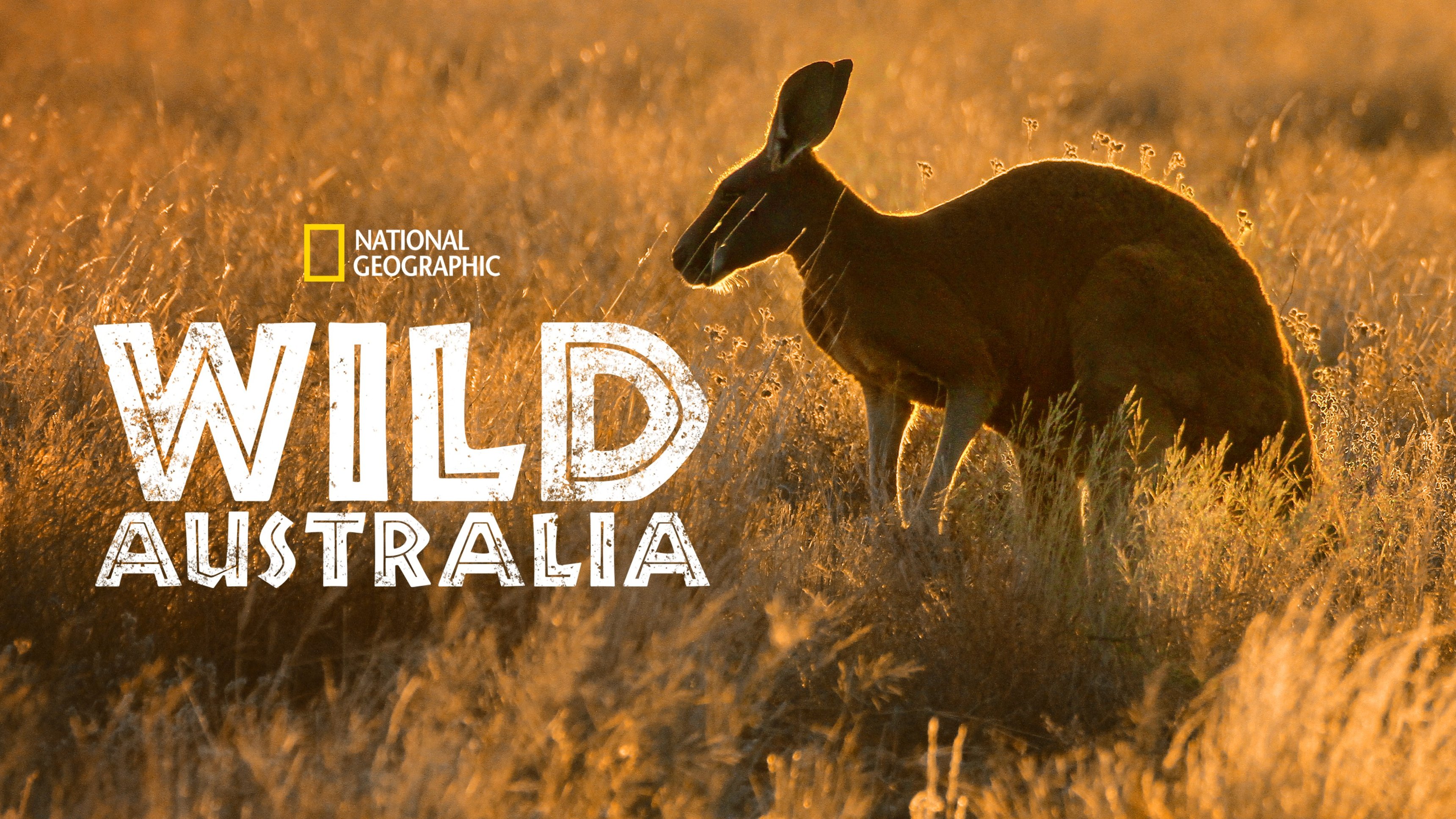 Vilda Australien