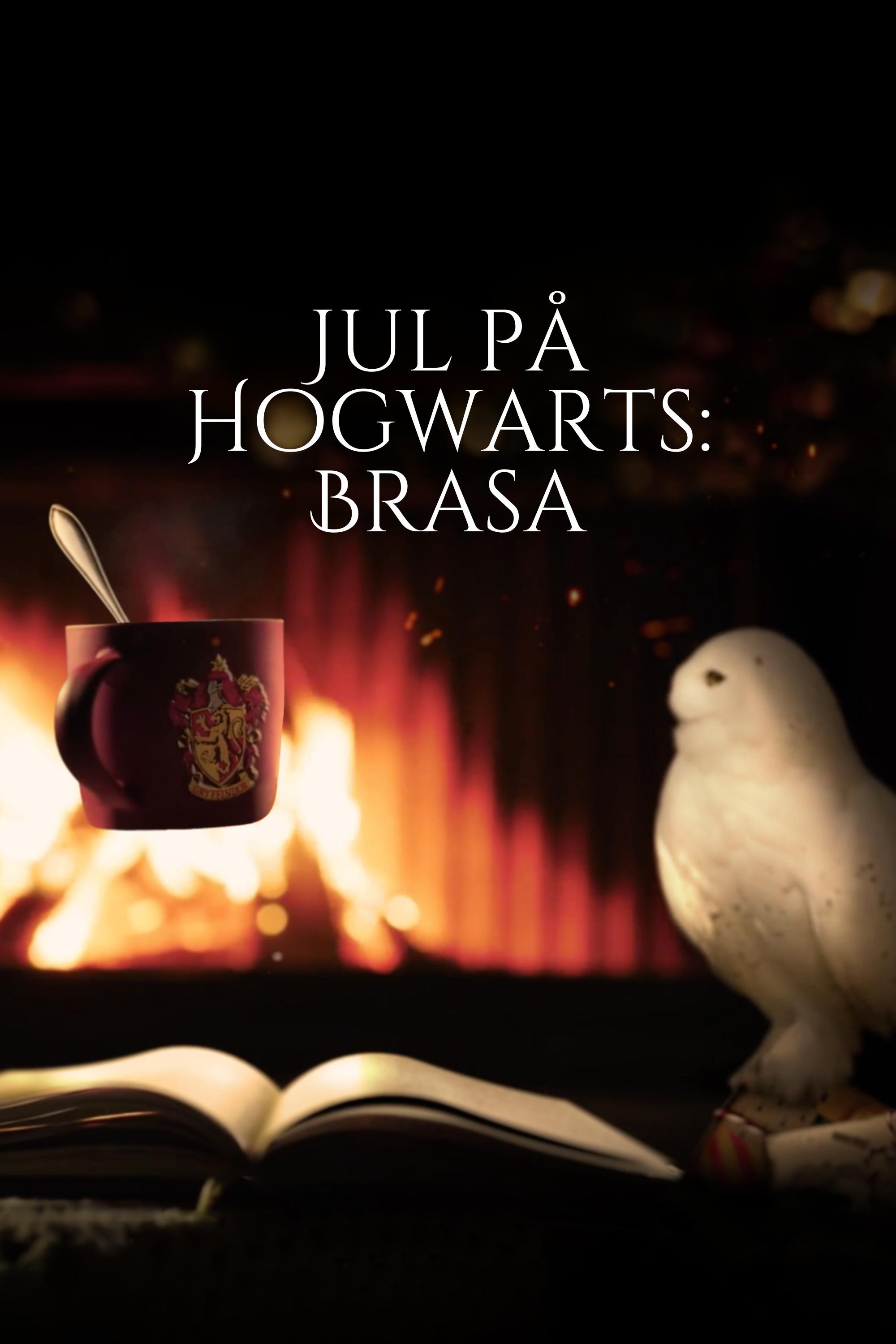 Jul på Hogwarts: Brasa