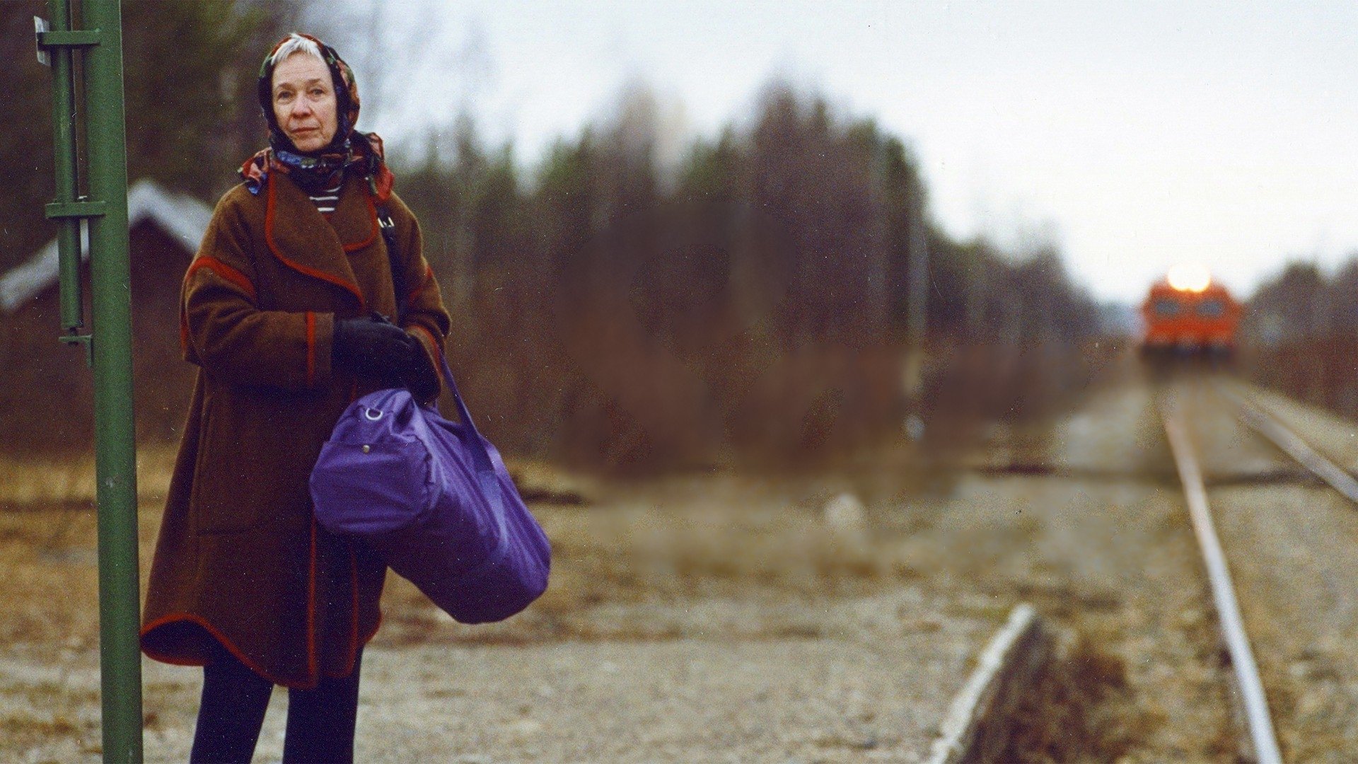 Sara med allt sitt väsen