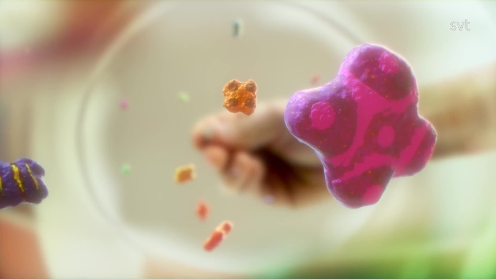 33. Tuggummi/Ritualen