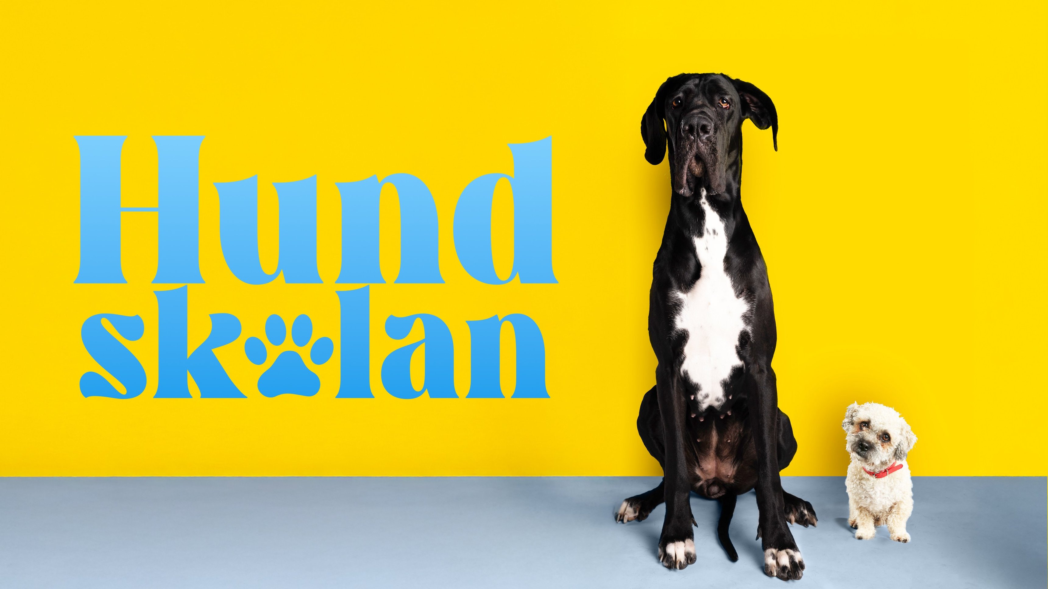 Hundskolan