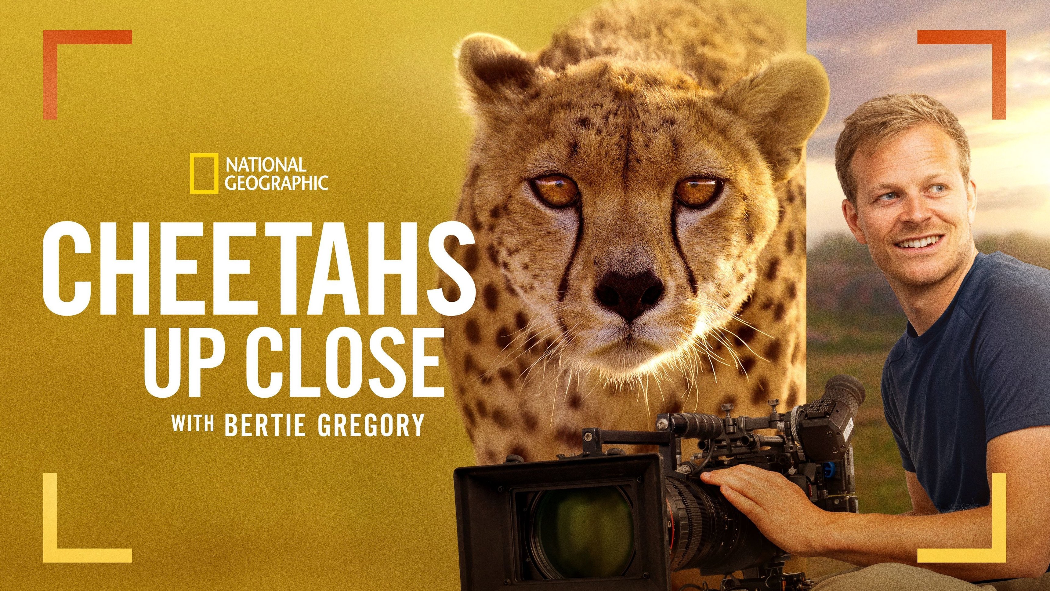 Cheetahs Up Close with Bertie Gregory