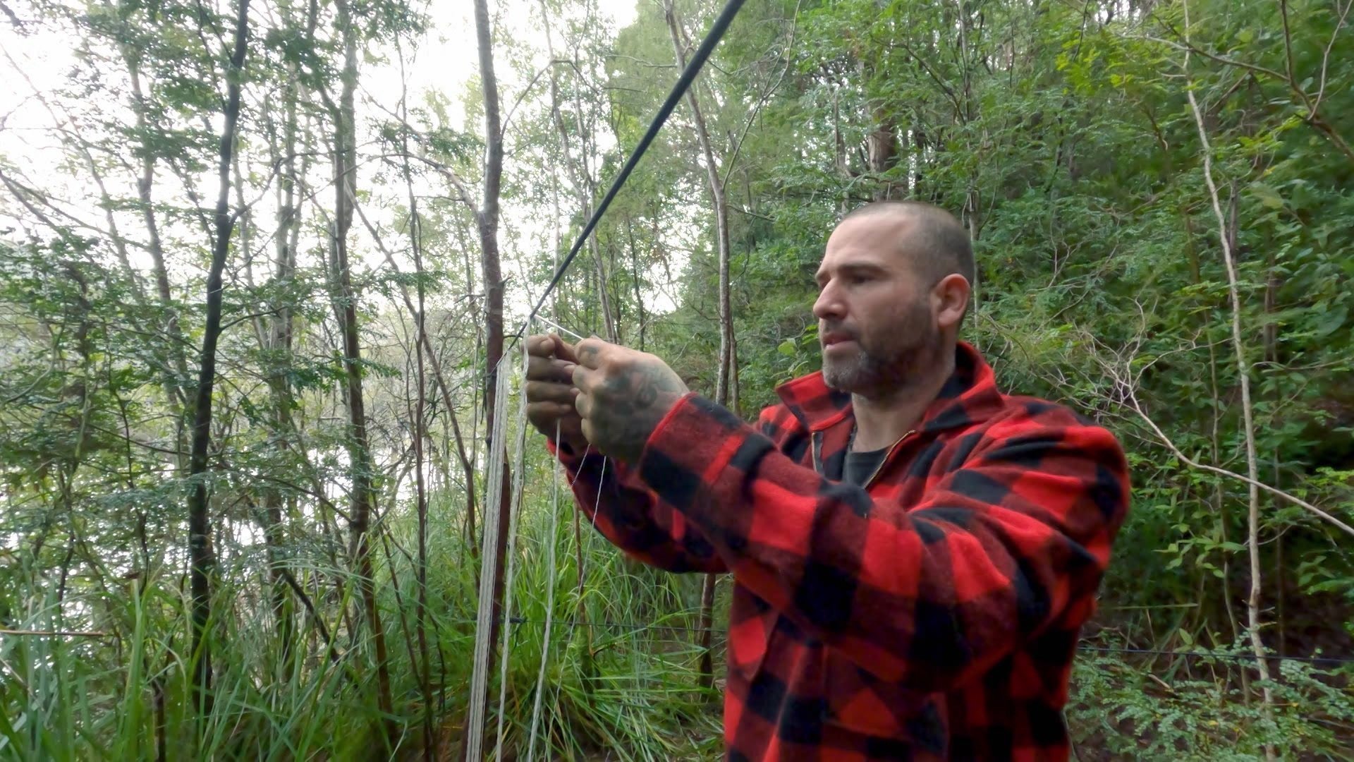 10. När entomologi är en sport