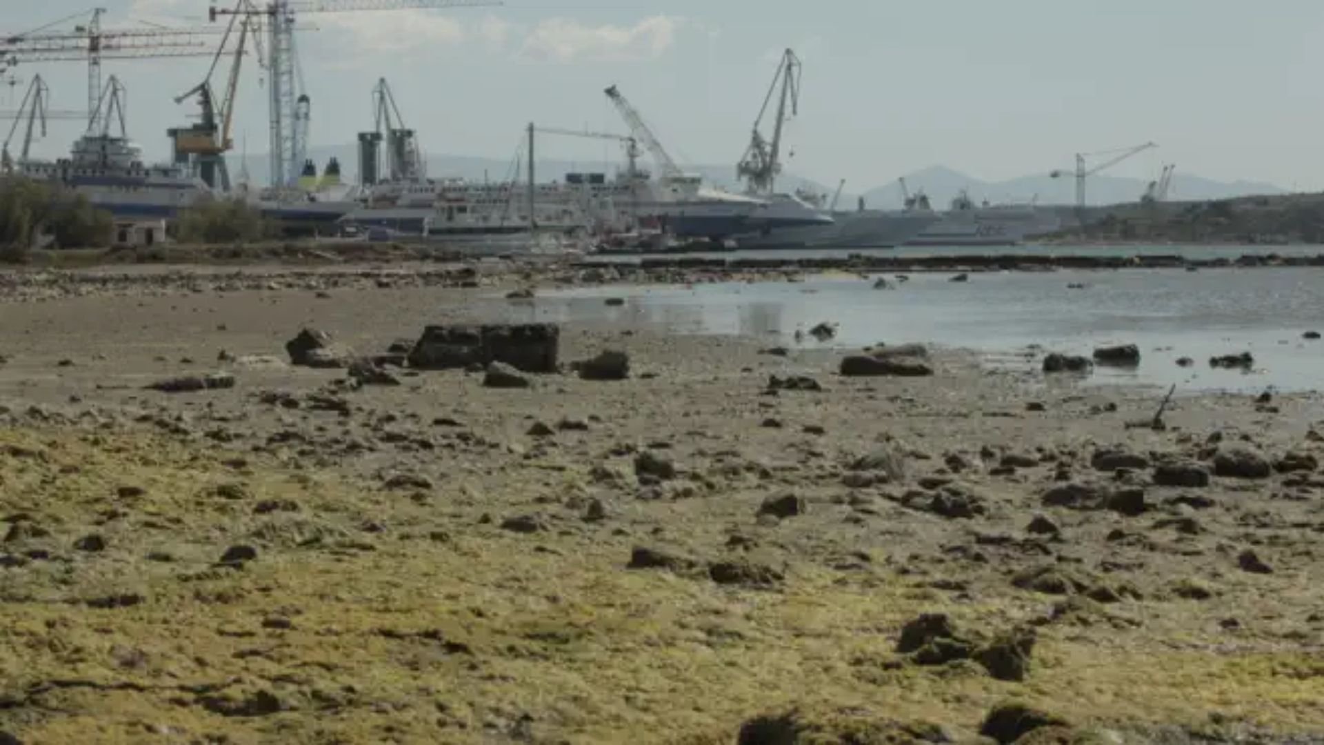 8. Finding Sparta's 300