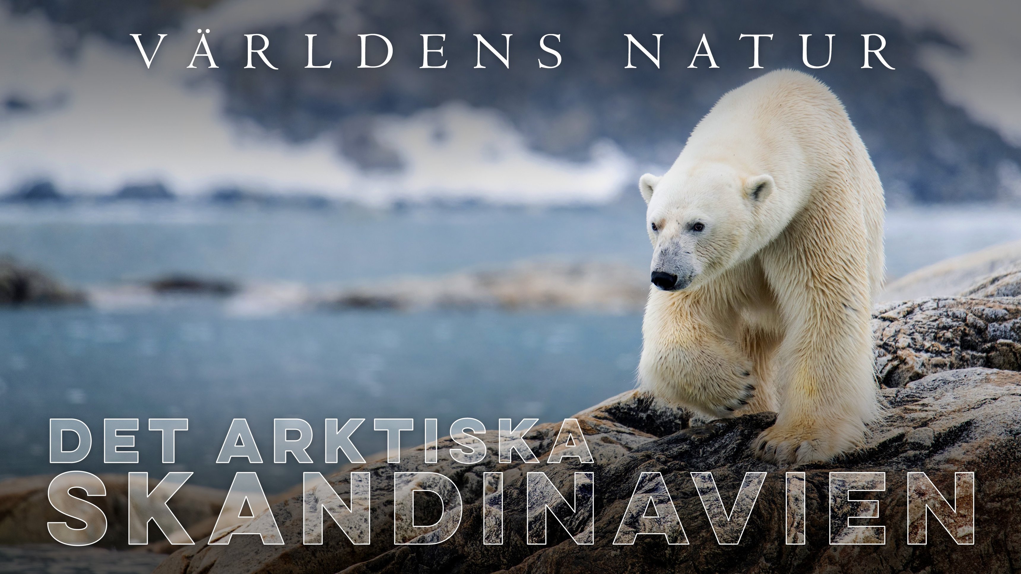 Världens natur: Det arktiska Skandinavien