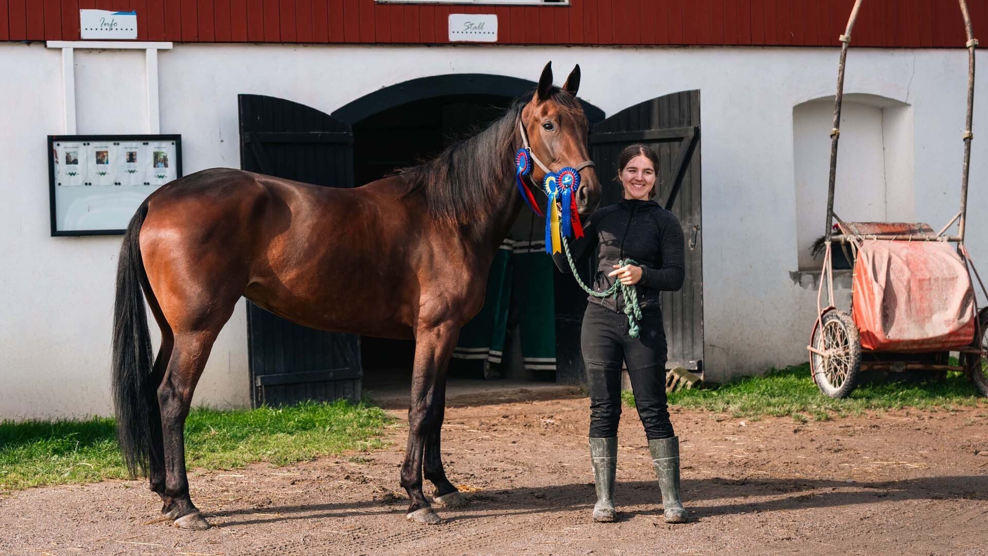 7. Travaren Lonely Nights