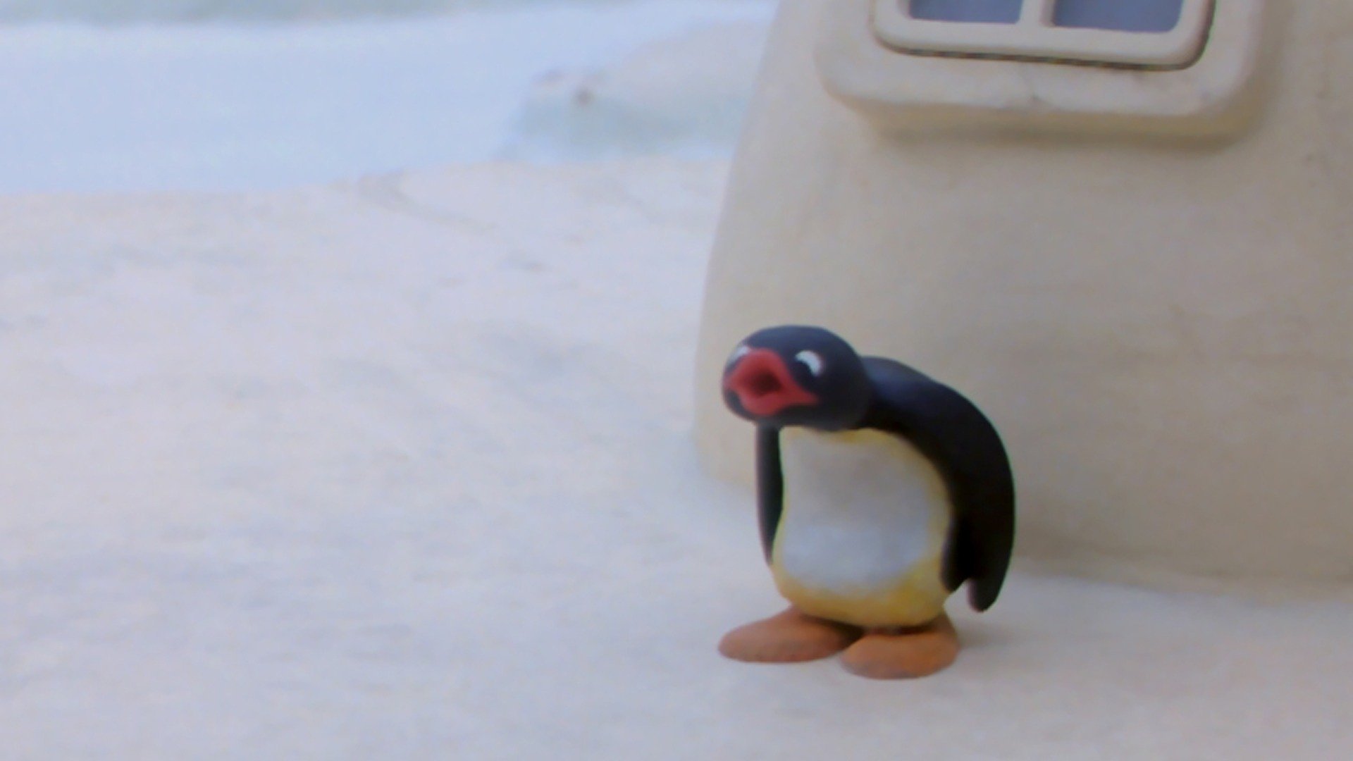 24. Pingu och hans vänner leker för högljutt